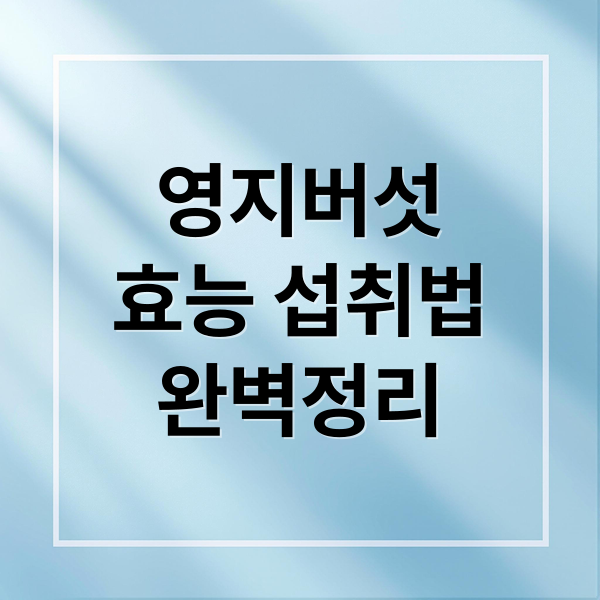 thumbnail 1759504846763 d6jwfb5rqj